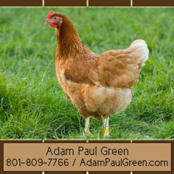 Adam Paul Green infamous home management advisoradampaulgreen.com