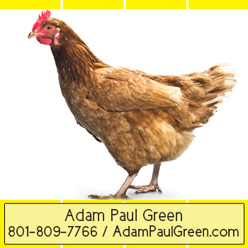 Adam Green notable store traineradampaulgreen.com