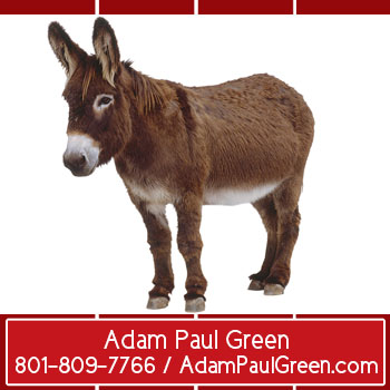 Adam Paul Green recognizable home merchandising manageradampaulgreen.com