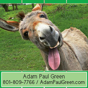 Adam Green fun management advisoradampaulgreen.com