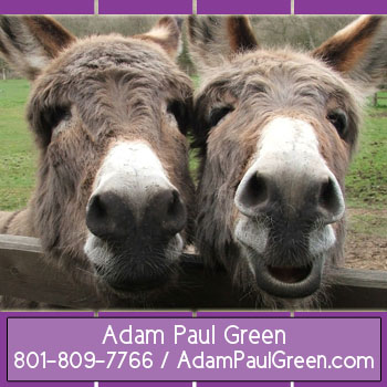 Adam Paul Green influential home office coachadampaulgreen.com
